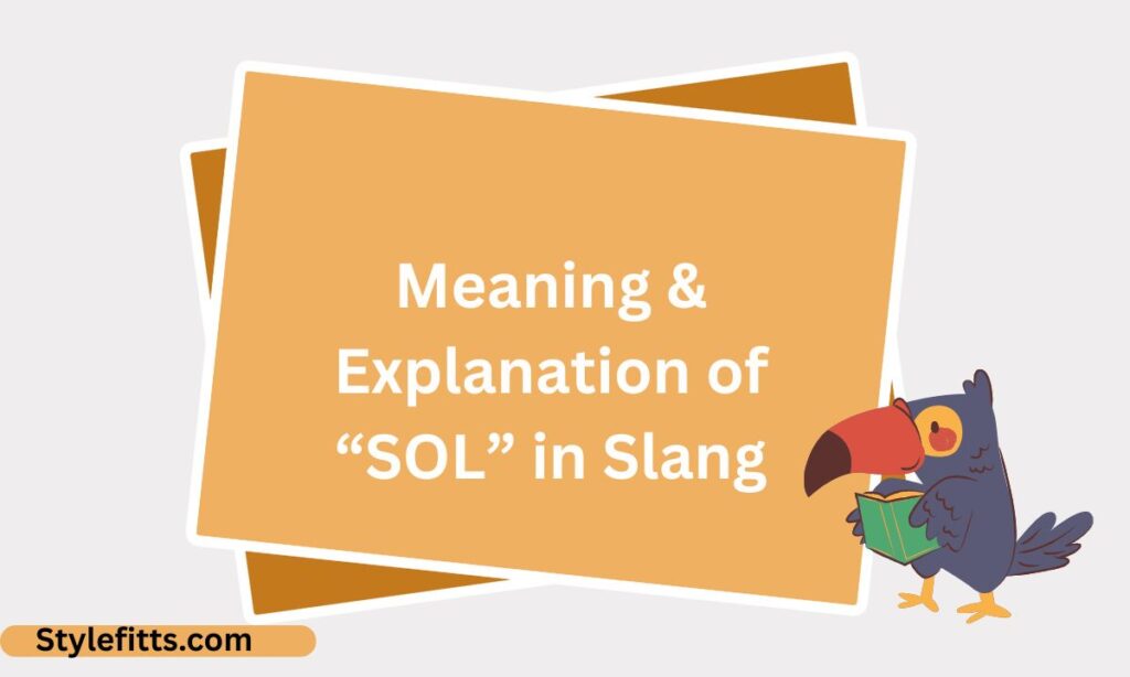 Meaning & Explanation of “SOL” in Slang