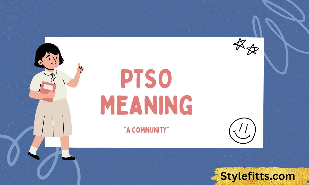 PTSO Meaning (2026) Full Explanation, Usage, Examples & Hidden Contexts