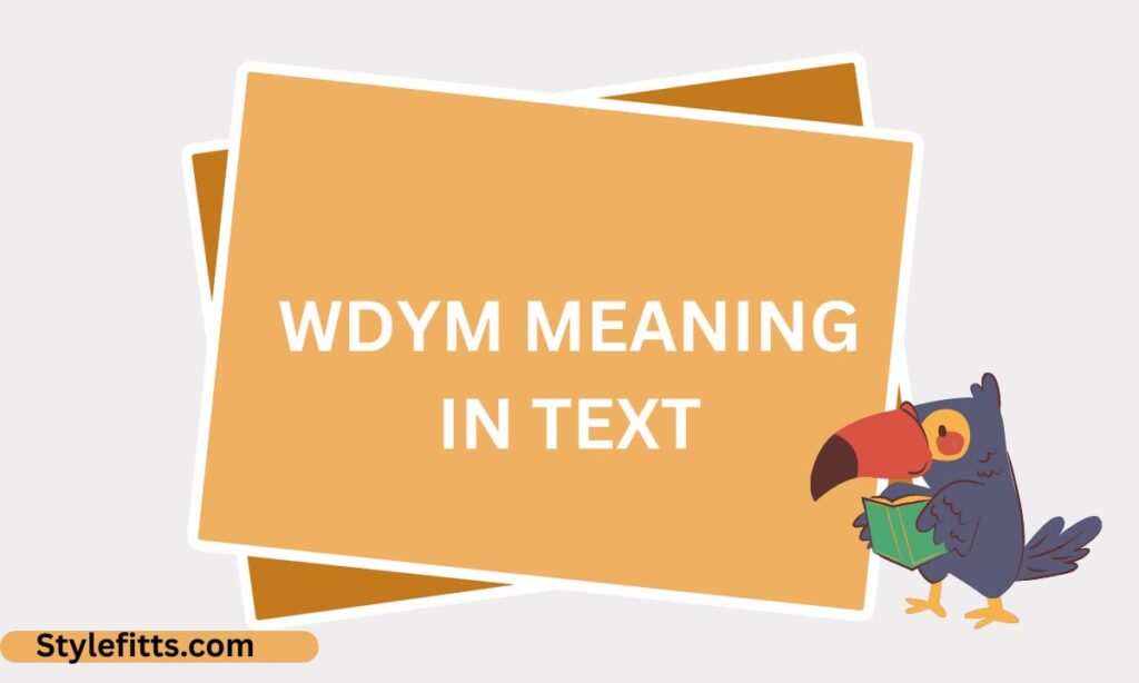 WDYM Meaning in Text
