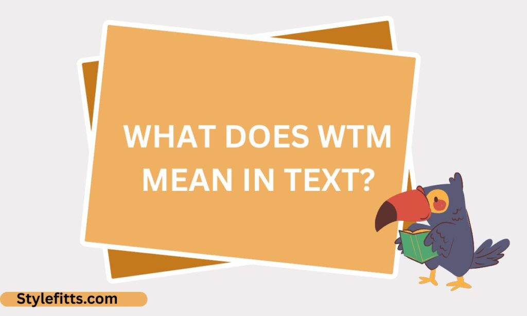 What Does WTM Mean in Text